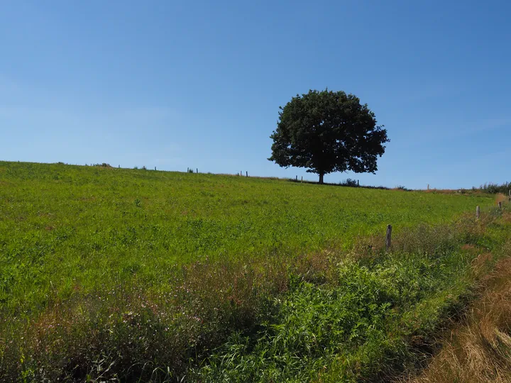 Beausaint (La Roche-en-Ardenne, Belgium)